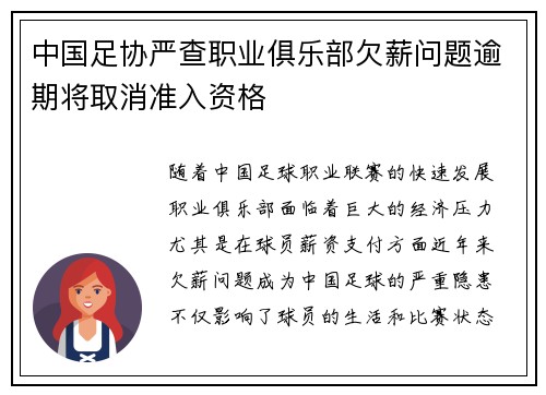 中国足协严查职业俱乐部欠薪问题逾期将取消准入资格